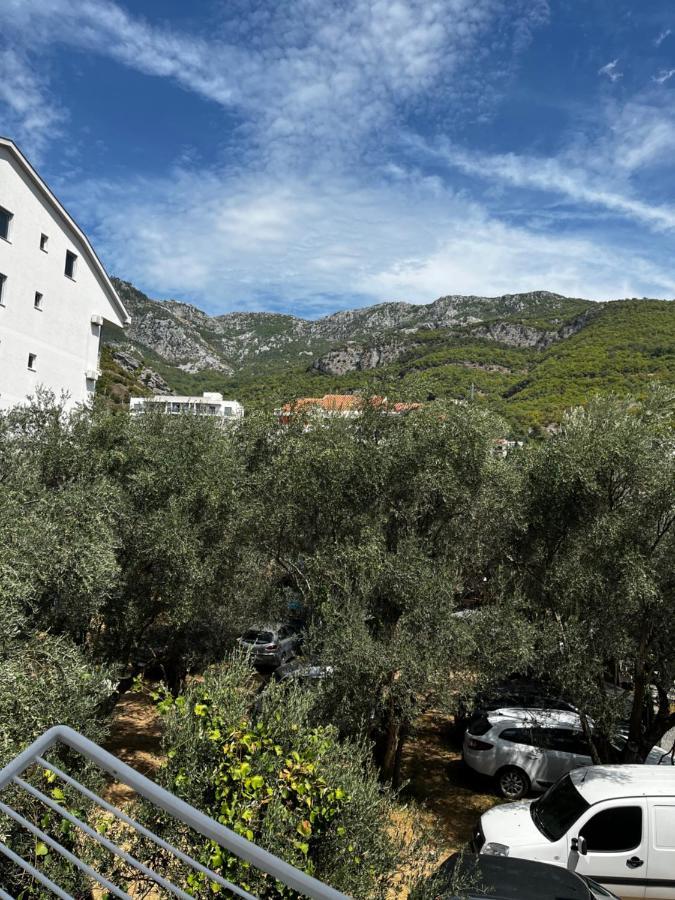 Apartments Kuljaca Budva Extérieur photo